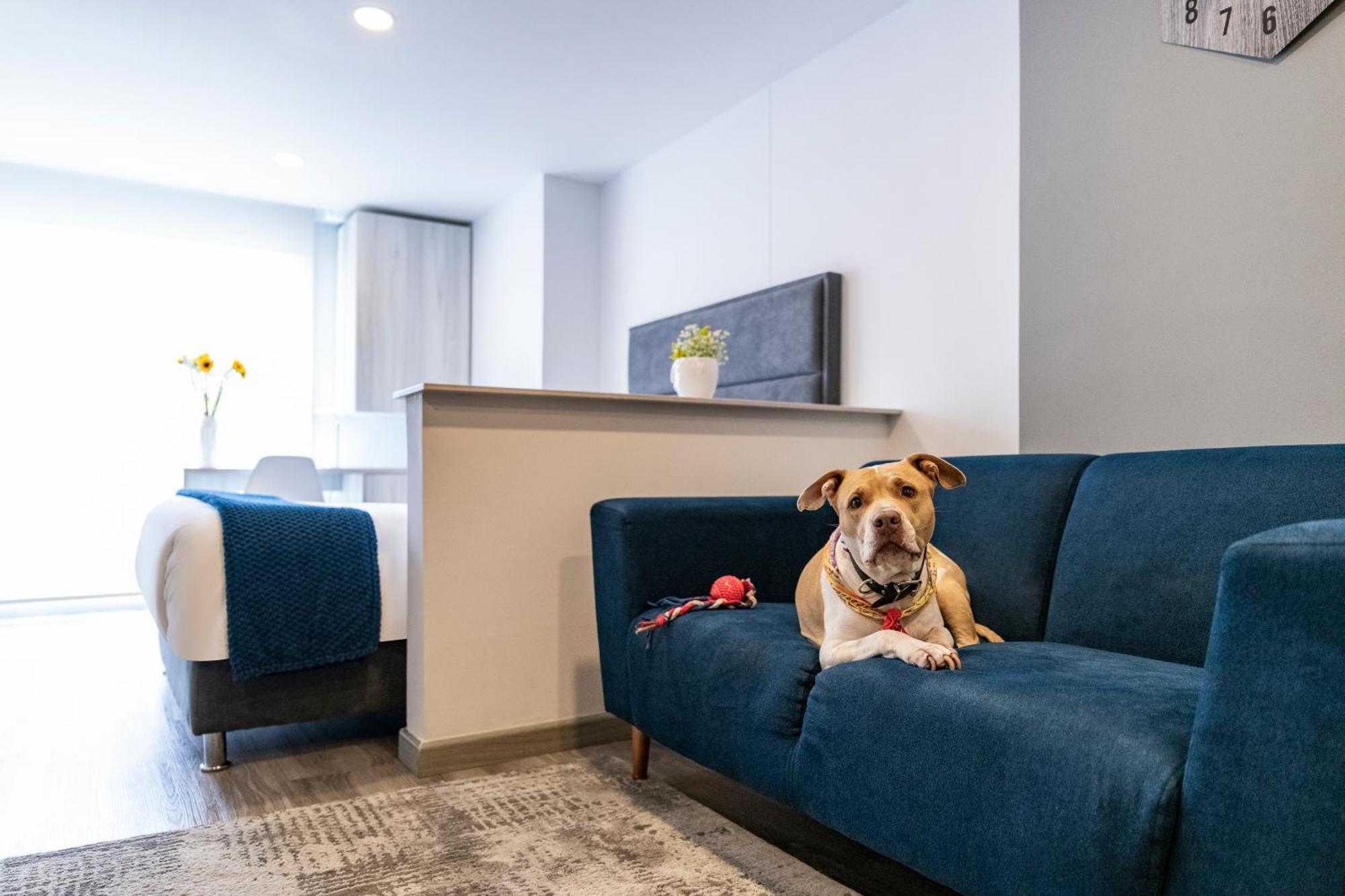 Апартаменты Torre Ventto Lofts Богота Экстерьер фото